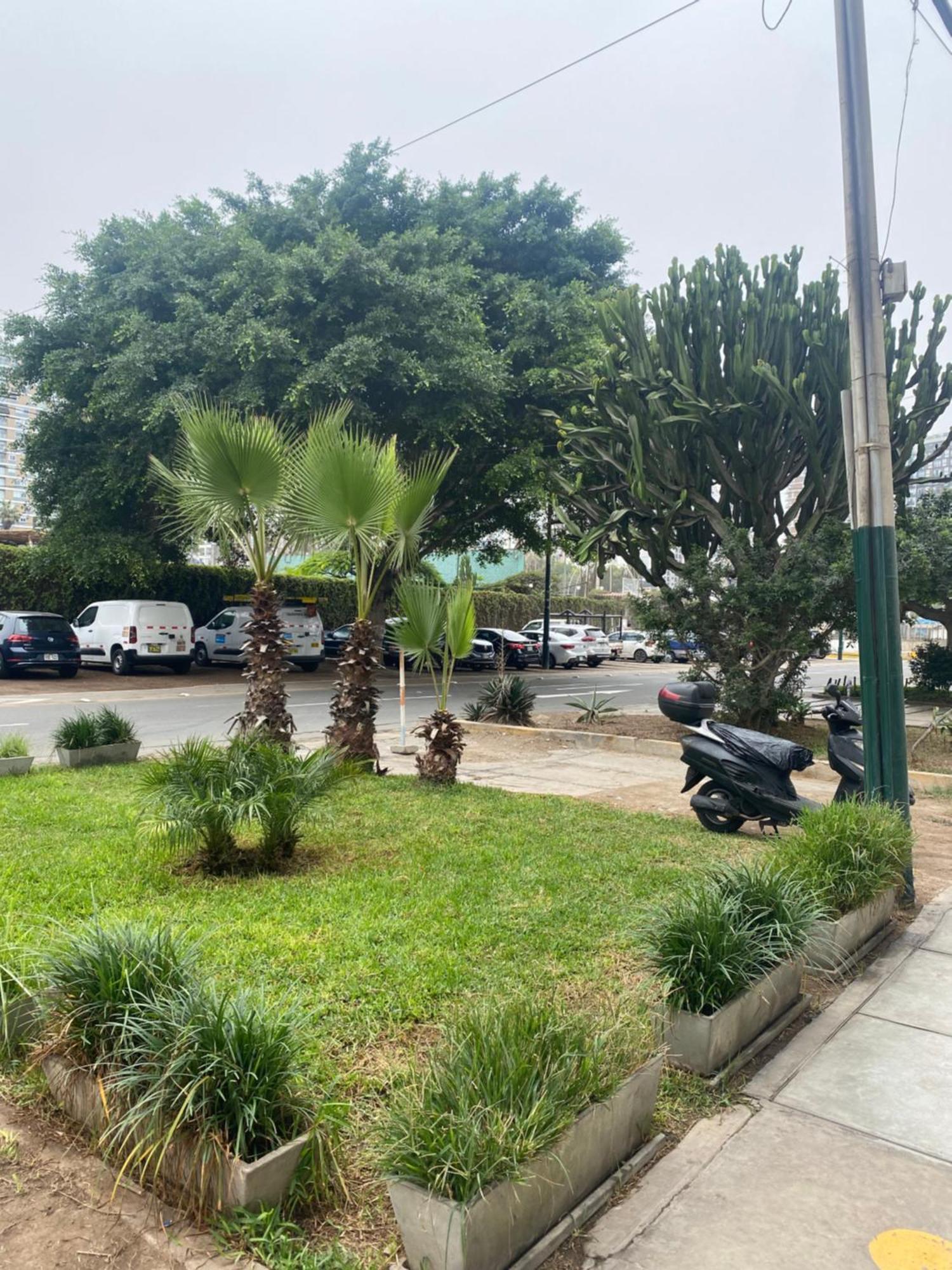 En El Corazon De Barranco Y Estacionamiento Libre Apartamento